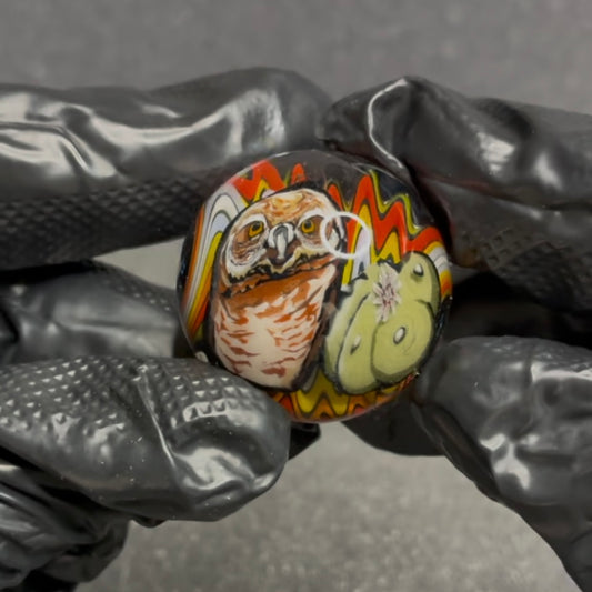 Stephen Boehme Burrowing Owl Marble 1.2 #37