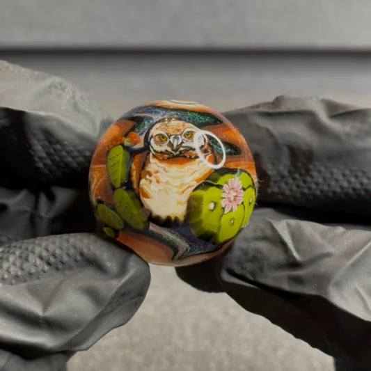 Stephen Boehme Burrowing Owl Marble 1.2 #17