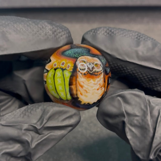 Stephen Boehme Burrowing Owl Marble 1.2 #39