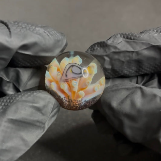 Modified Creations Ocean Reef Marble 26mm-29mm #56F