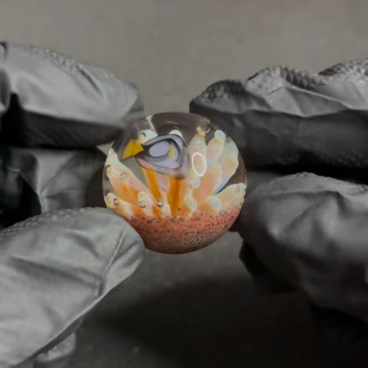Modified Creations Ocean Reef Marble 26mm-29mm #55F