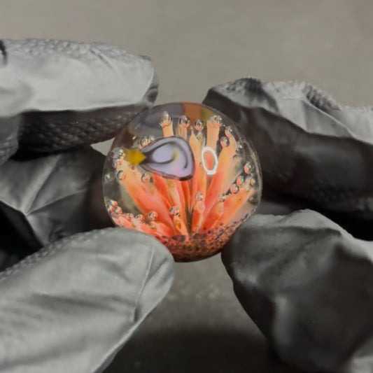 Modified Creations Ocean Reef Marble 26mm-29mm #51F