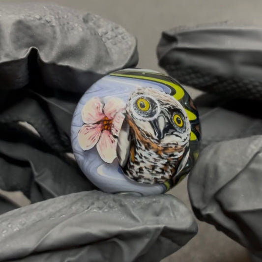 Stephen Boehme Owl Marble 1.3" #620