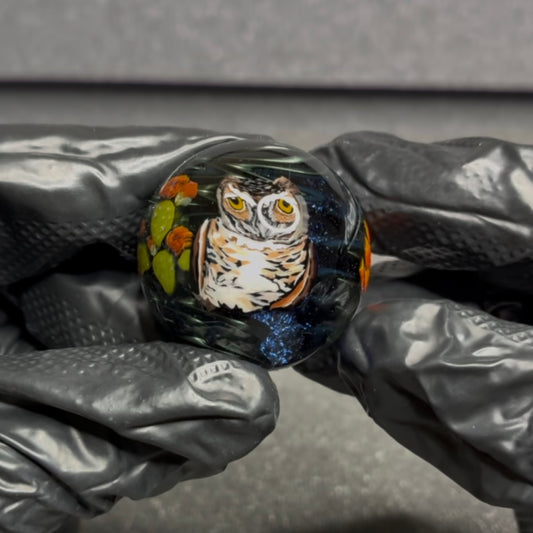 Stephen Boehme Owl Marble 1.2 #43