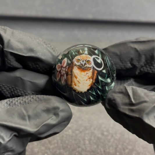 Stephen Boehme Burrowing Owl Marble 1.2 #32