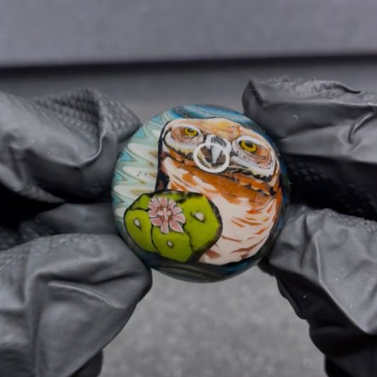 Stephen Boehme Burrowing Owl Marble 1.2" #34C