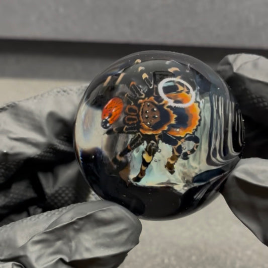 Stephen Boehme X Robert Koch Spider Skull Marble 2.05" #412