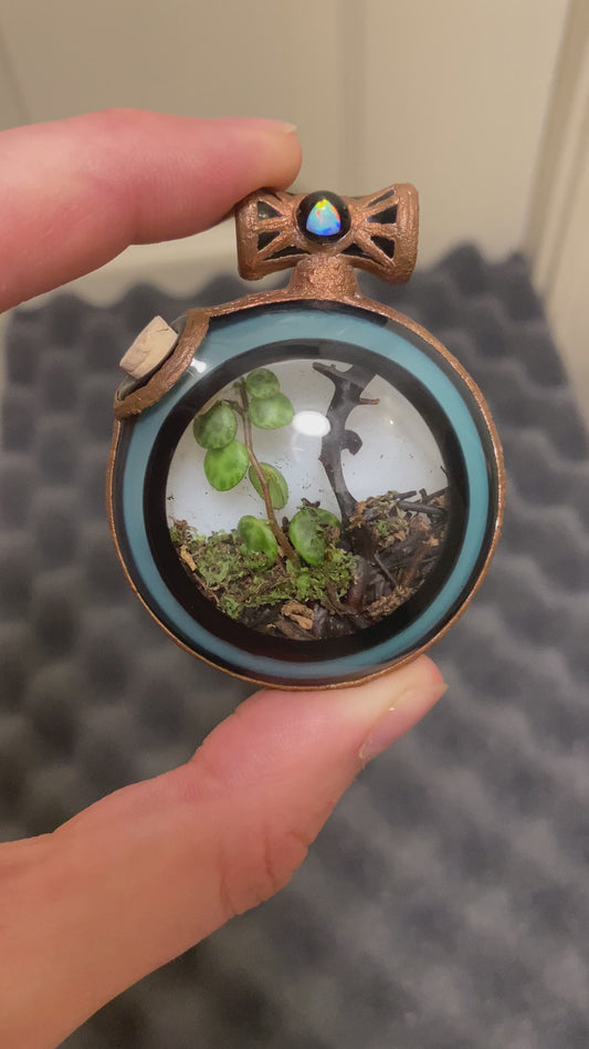 Devin Mense ‘Microcosm Glass’ Terrarium Pendant