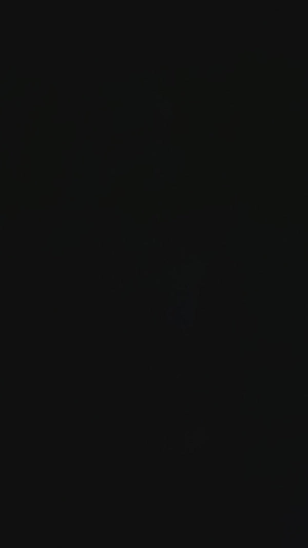 Micros Workshop X Piper Dan Asanoha Mario Scene Rig 10mm – That Glass ...