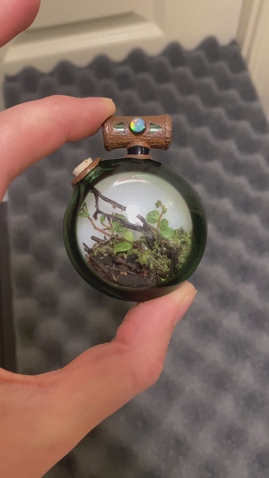 Devin Mense ‘Microcosm Glass’ Terrarium Pendant