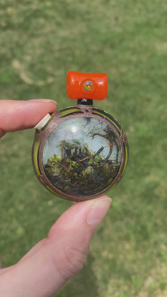 Devin Mense ‘Microcosm Glass’ Terrarium Pendant